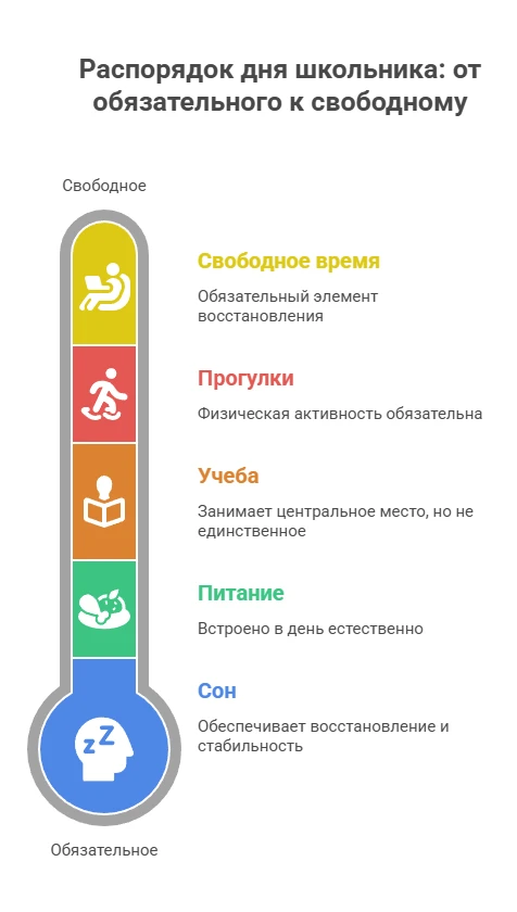 Из чего должен состоять распорядок дня школьника